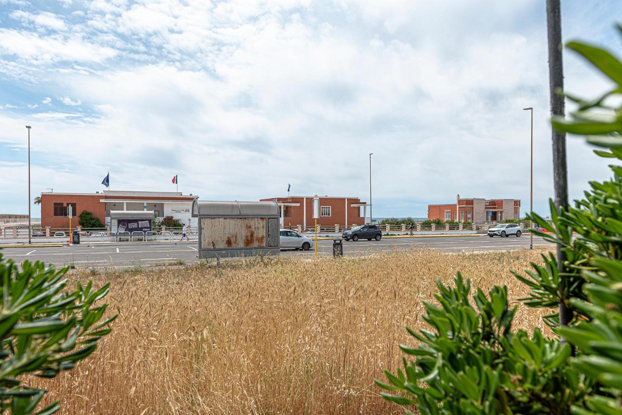 Villino Dei Coralli Lido di Ostia Exterior photo